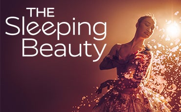 More Info for The Sleeping Beauty